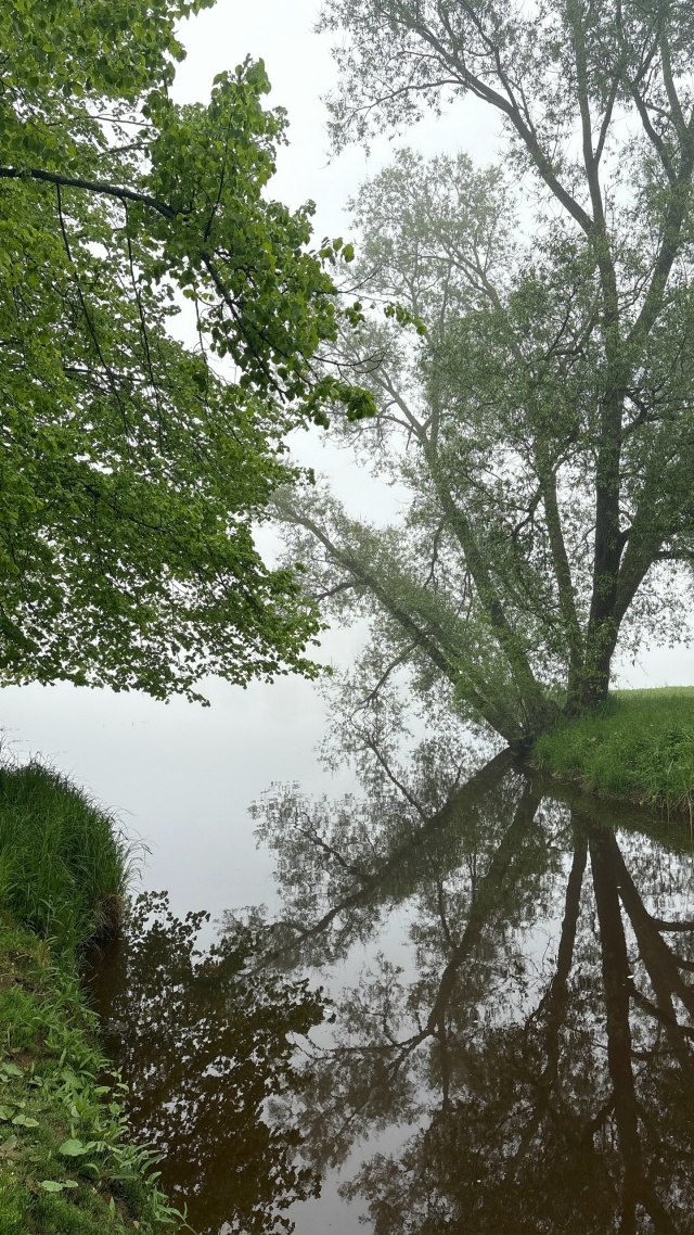 Хорошего дня!
Фото: Анастасия Львовна
#фото