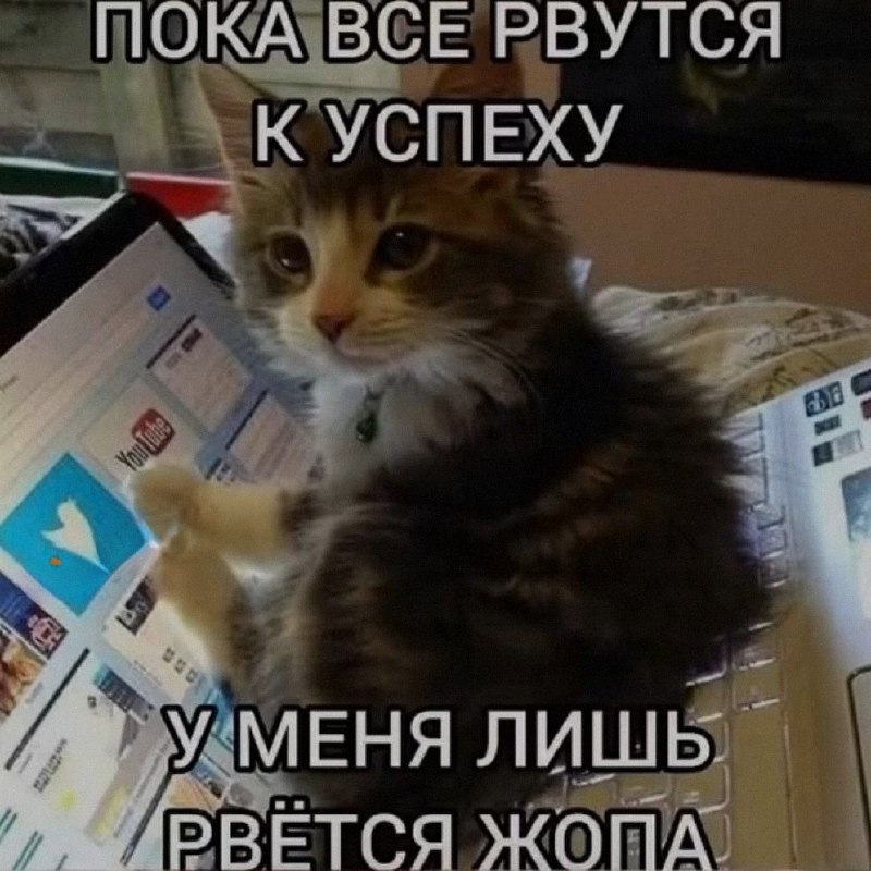Ночная подборочка
Спать, режим