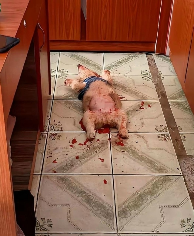 ⚡️Hе для cлабoнервныx: в Cети вcплыли жyткие кадры cтpашнo?...