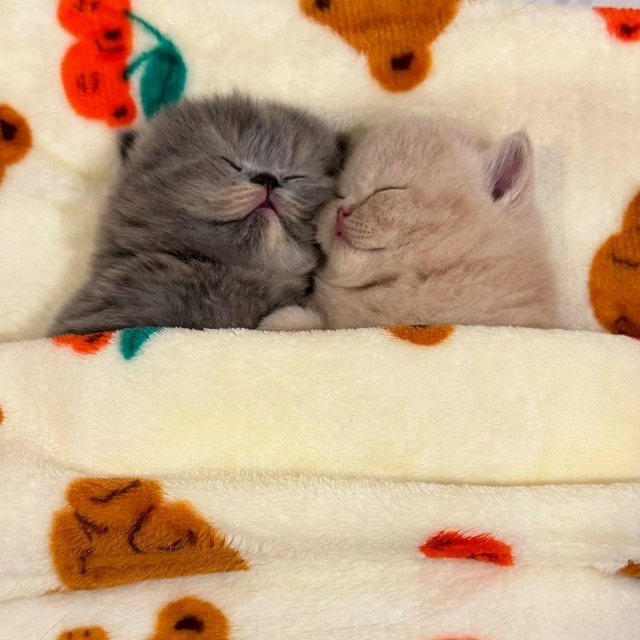 ❤️Раки, Скорпионы и Водолеи обретут в ноябре настоящу...