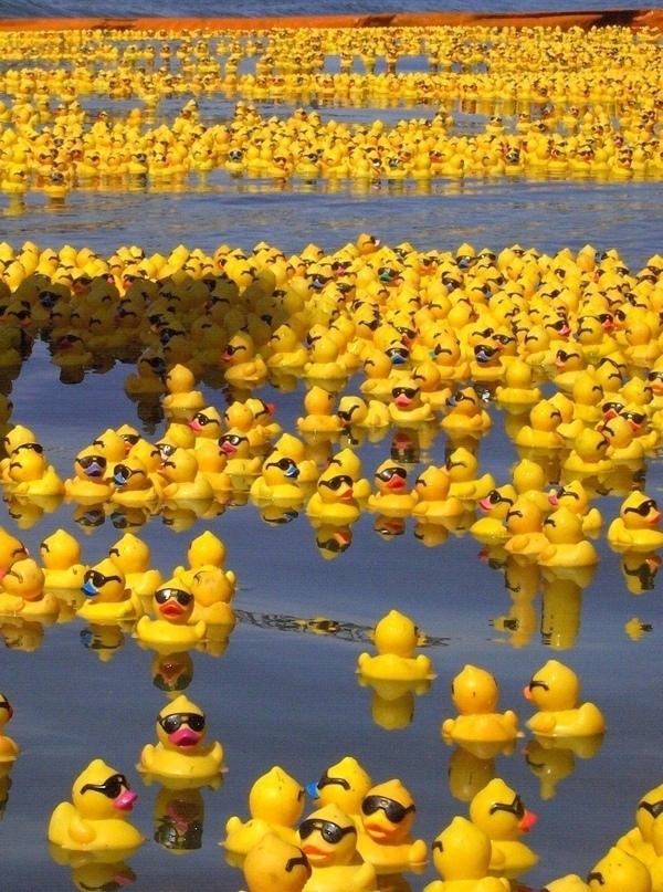 В 1992 году контейнер с 28 000 резиновыми утятами, черепашк?...