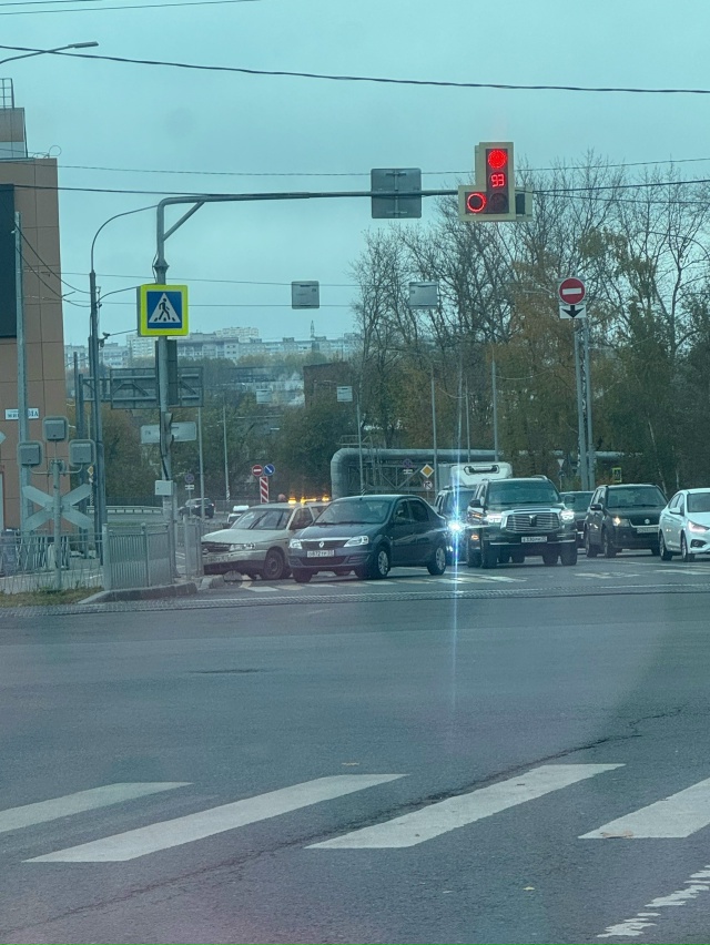 Рпенский у ярко парка в сторону бассейна