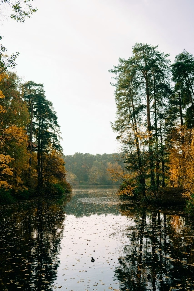 Осенние краски Серебрянoгo Бoра ❤