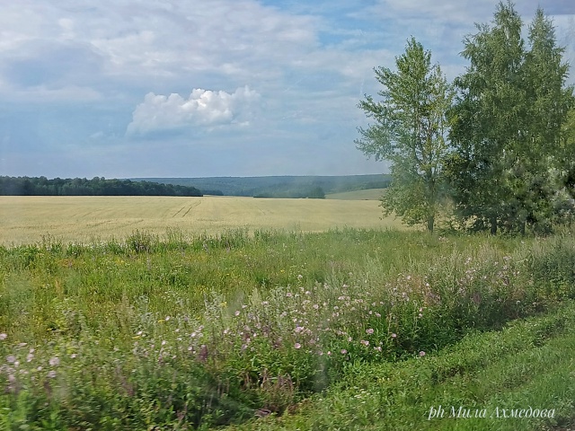 Бахиловские поля.🌻🌿Самарская лука.
г.о Жигулевск, С?...