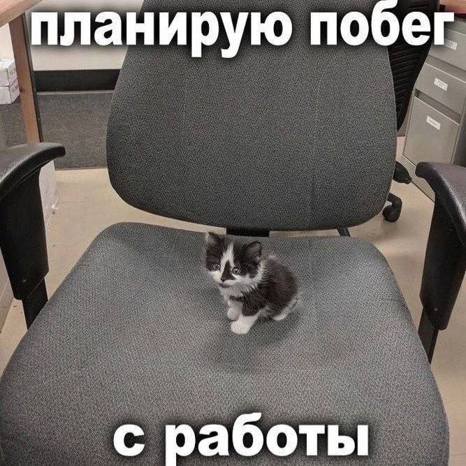 Утренняя подборочка
