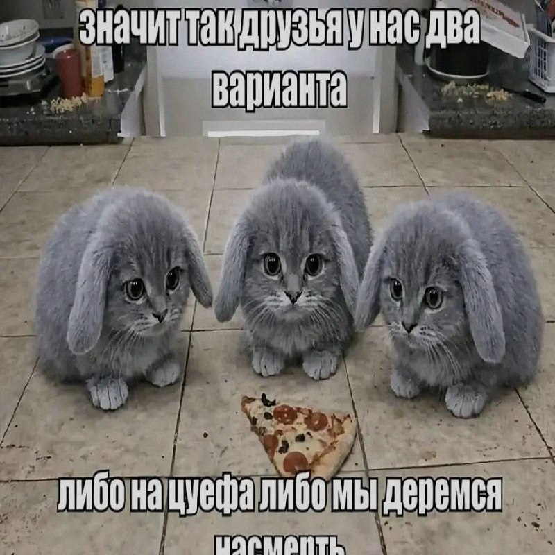 Ночная подборочка
Спать, режим