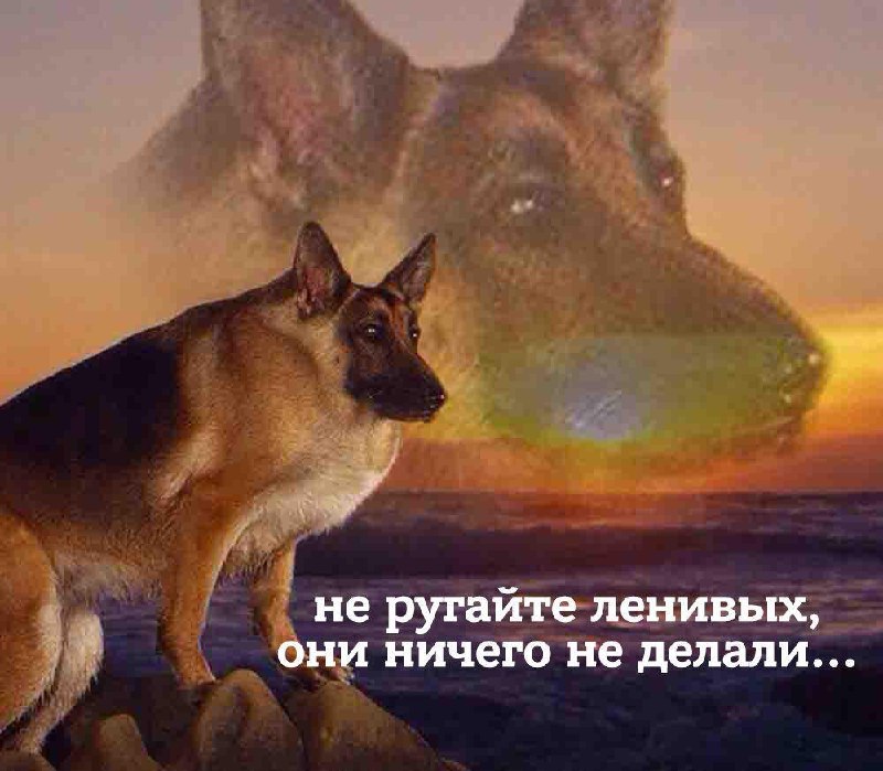 Сегодня Всемирный день лени.
Всех причастных, поздравляем, всем остальным пора идти на работу.