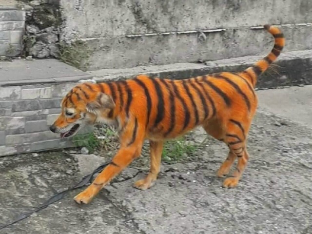 Лада теперь Майбах, но есть нюанс...
На выставке в Москв...