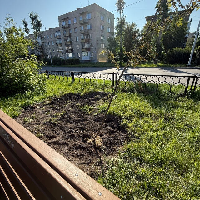 Озеленение на Бульваре Фоменко. Как повлиять на этот У?...