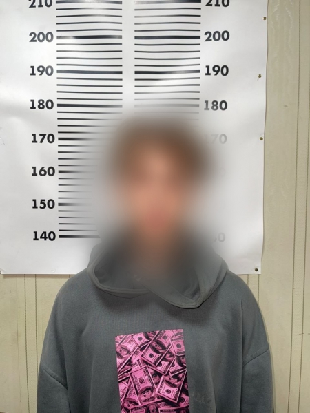 Евпаторийская полиция задержала подозреваемого в умы?...