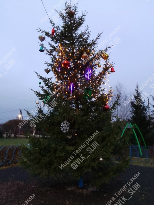 Анонимно.
Вот так украсили ёлку в д.Гряды, позор могли б...