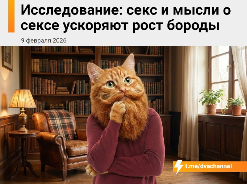 ⚡️Секс и мысли о нём ускоряют рост бороды, показало исследование
Оказывается, когда человек испытыв