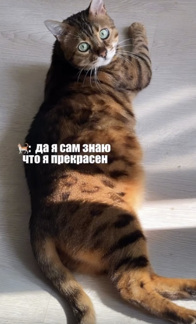 Знает, как его подбодрить