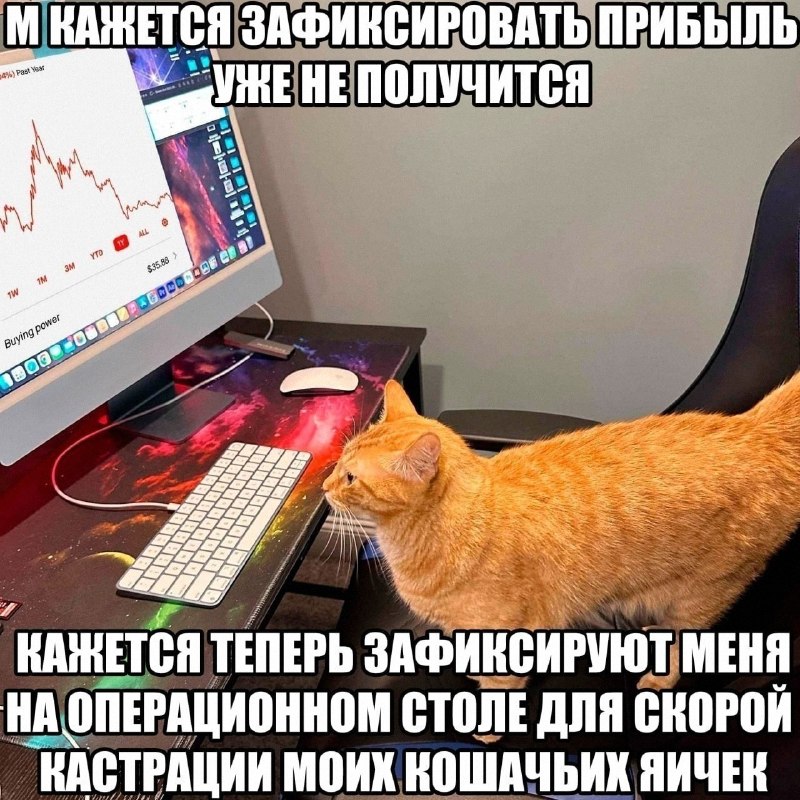 Утренняя подборочка