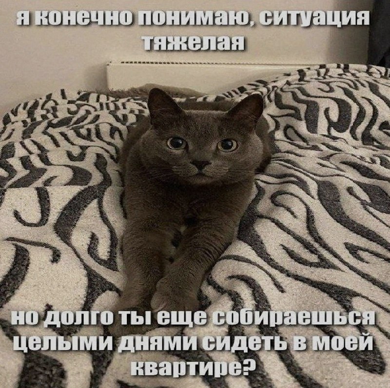 Ночная подборочка
Спать, режим