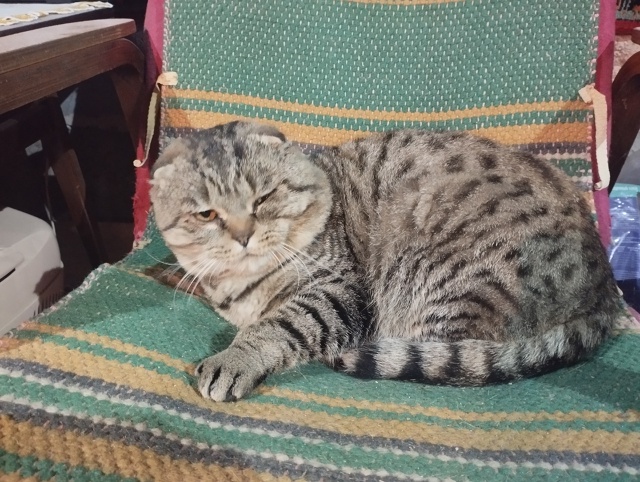 В течении недели к нам в гараж на улице Лермонтова прих...