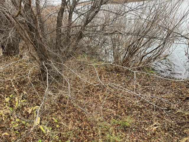 Сегодня экологическая дружина «Русской общины» Акбул?...