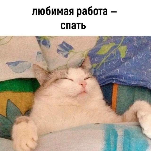 Я точно в душе кот
