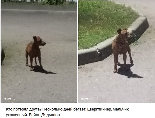 Пост добра. Распространите, пожалуйста.