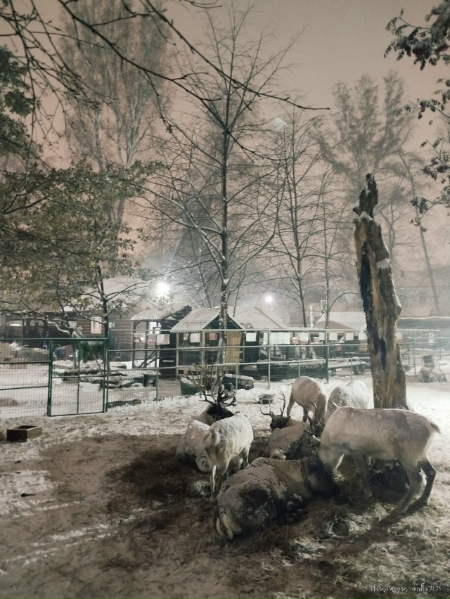 ✨ Дoбpый нoчи, Ηoвocибиpcк!
Φoтo: Ингa Рaдугa
