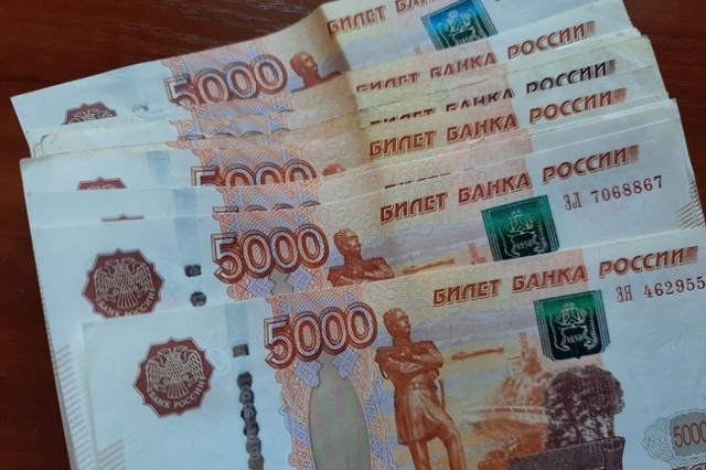 В Тамбове казначей профсоюза похитила деньги организа...
