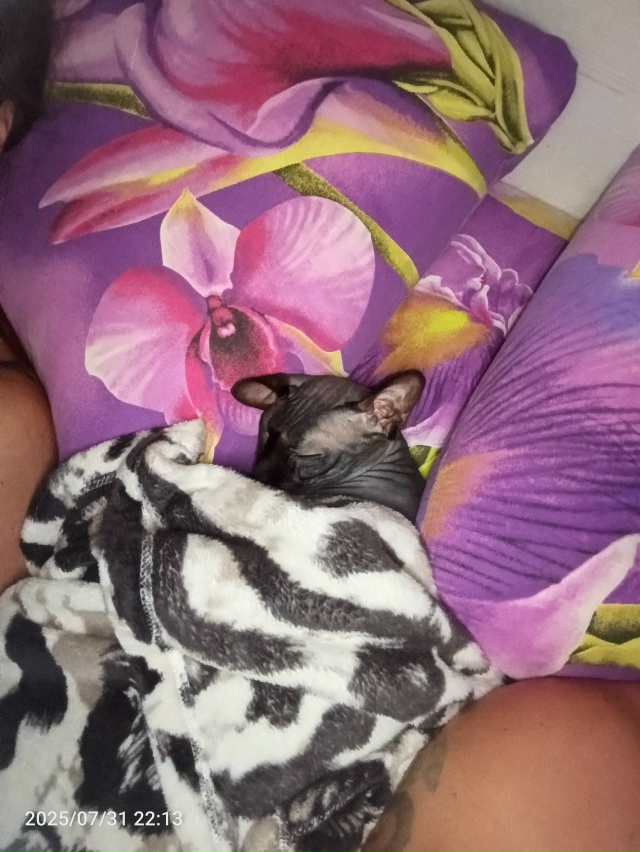 Моя всратая красотуля!