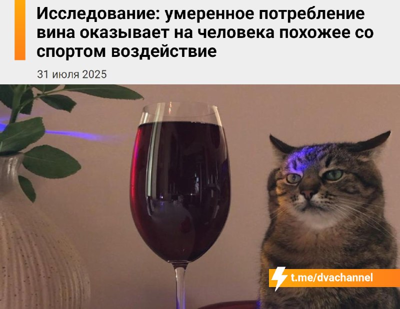 Умеренное употребление вина действует на человека так же, как спорт, выяснили учёные
Когда человек