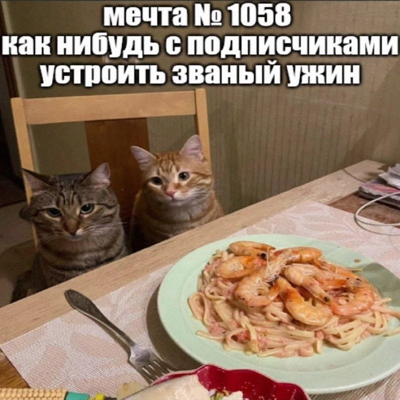 Утренняя подборочка