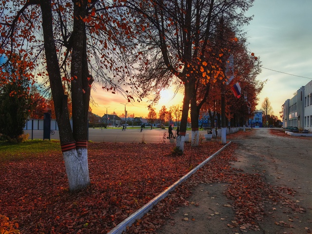 Вечернее осеннее ???
Huawei P60 Pro (lightroom)