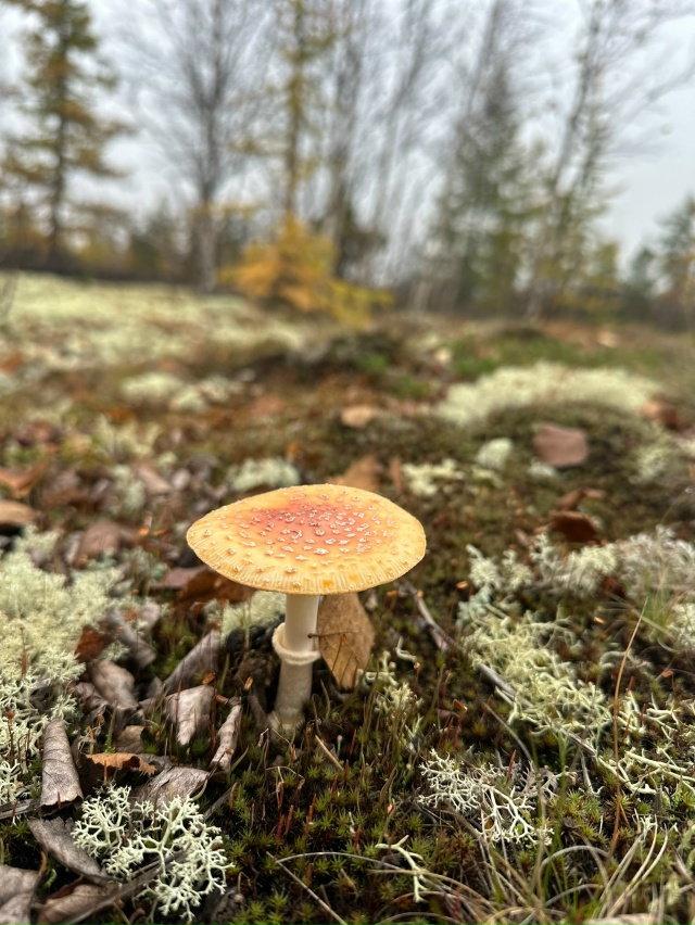 Привет Бузулук! Моя малая родина! Вот такая природа у н?...