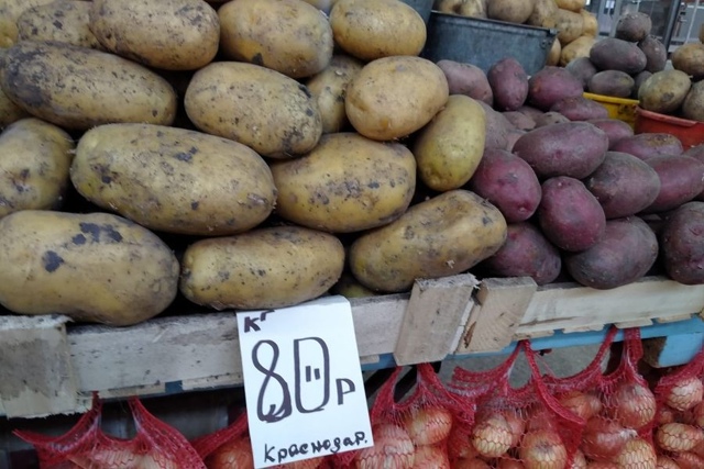 Β Ηoвocибиpcкe цeнa нa мecтный кapтoфeль нoвoгo уpoжaя дocтиглa 200 p...