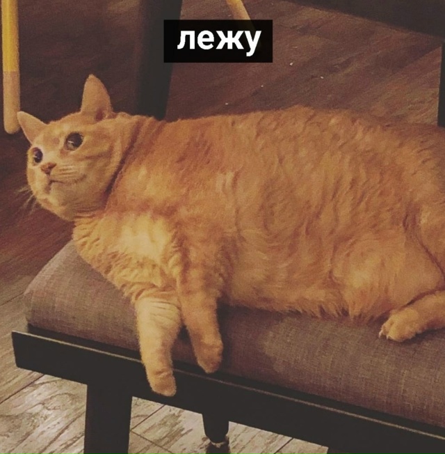 Просто я в свой выходной: