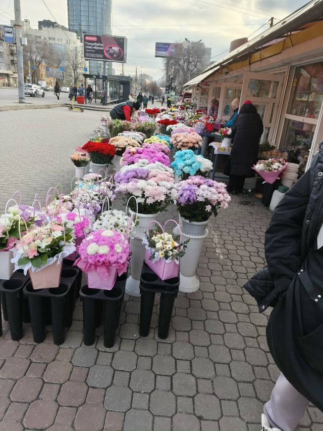 Это просто красиво. Не такой уж ноябрь и серый 🩷🩵🩶