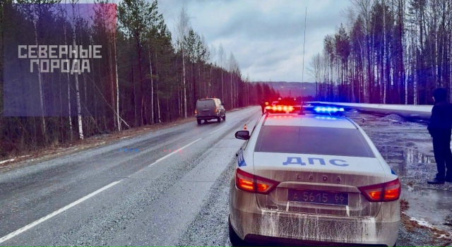 Пешеход погиб на автодороге в Качканаре.
Утром 15 ноябр...