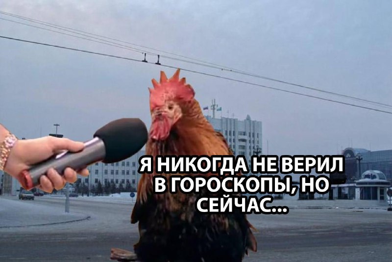Петухам, Крысам и Змеям обещают финансовую удачу.
Астрологи уверяют, что Змеи из китайского гороск