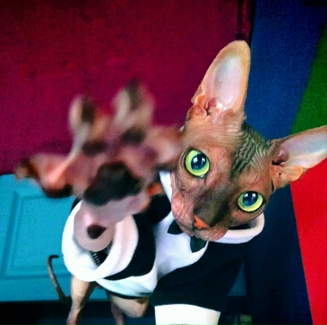 Его величество Мефистофель