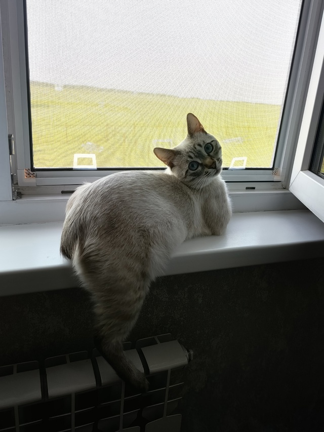 Наш ребёночек😻😻😻