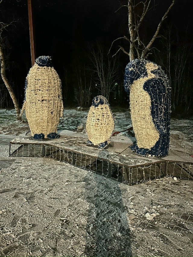 Ооочень красиво🥰гулять одно удовольствие ☺
Галина ...