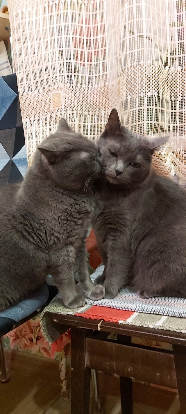 Ну кто сказал, что они не умеют любить?🥰🥰🥰