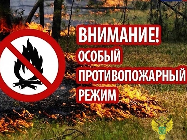 В Ярославской области действует особый противопожарн?...