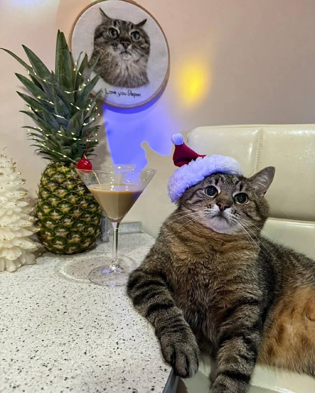 Дорогие подписчики, хотим поздравить вас с наступающим Новым годом!
Этот год был насыщенным на соб