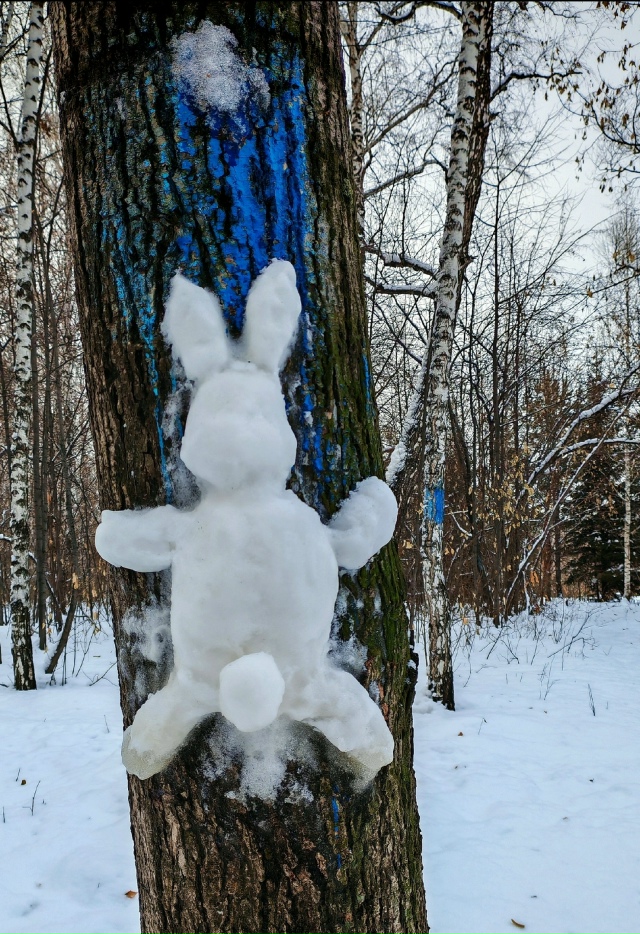 Зимниe зaбaвы вo двopaх Ηoвocибиpcкa ☃️