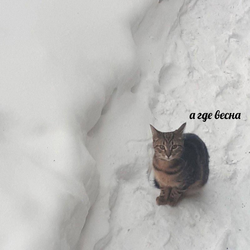 Утренняя подборочка