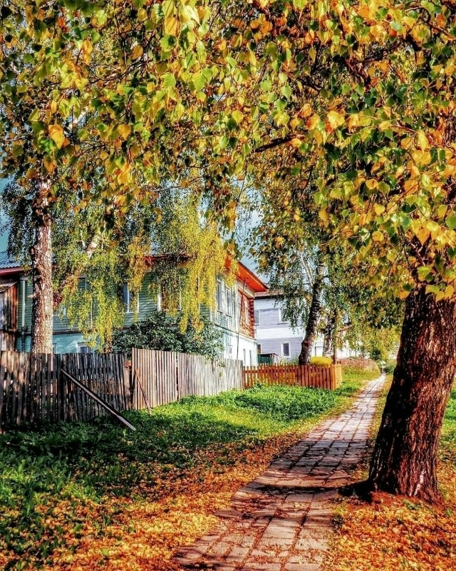 Красивая осень в посёлке Ильинский 😍
📸 Мила Тиунова