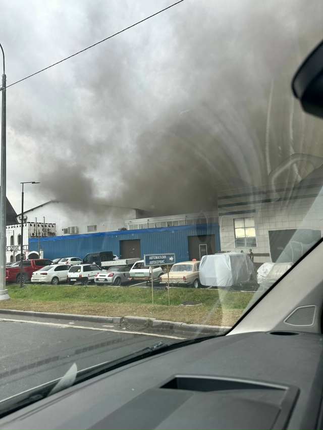 В пушкино дельфин горит