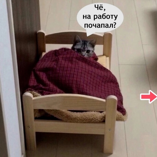 Как же я ему завидую в такие моменты