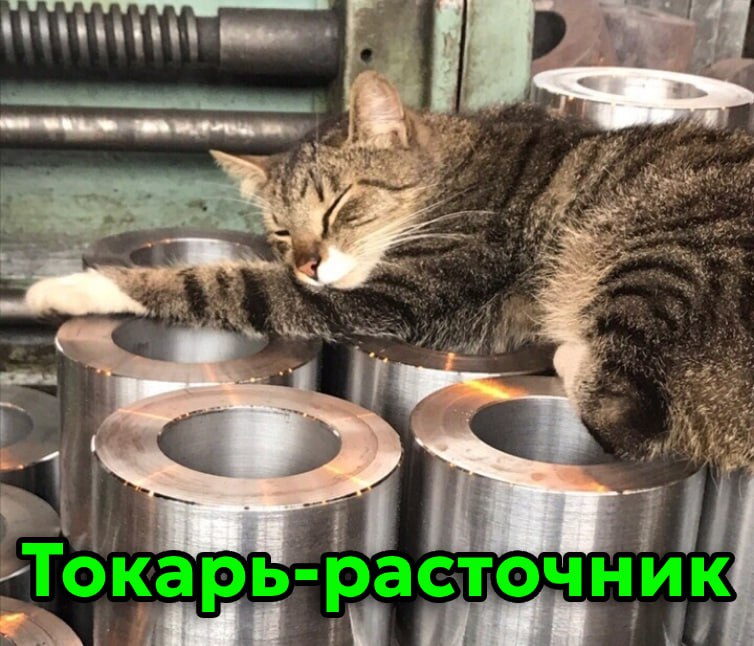 Сегодня отмечается День трудяги
Узнал себя?