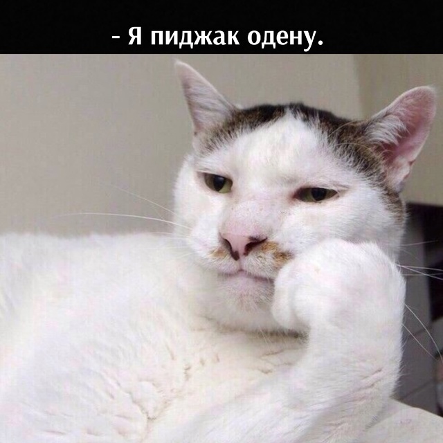 =»»