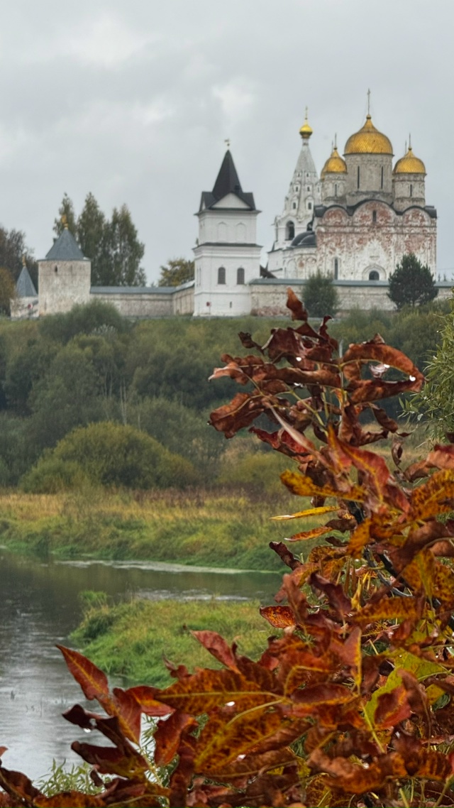 Осеннее спокойствие природы под Можайском 😌