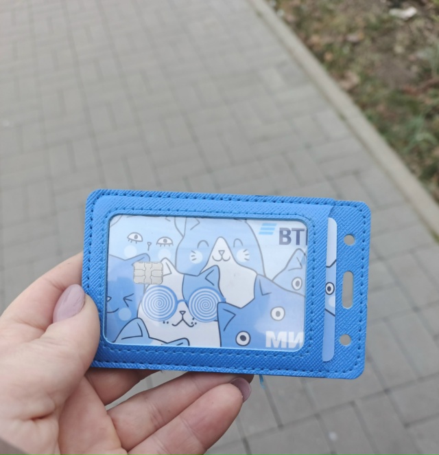 Найдена на улице Ленинская (Покровская)1/84.Отдам владел...